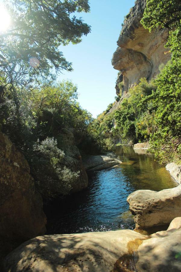De Ark Mountain Lodge Clarens Εξωτερικό φωτογραφία